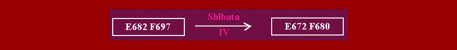 SHIBATA2.gif - 10.7 K