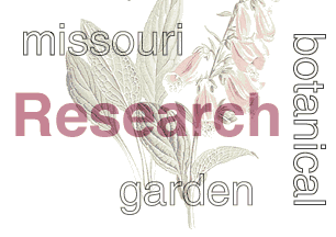 Missouri Botanical Garden Research and Digitalis purpurea L.