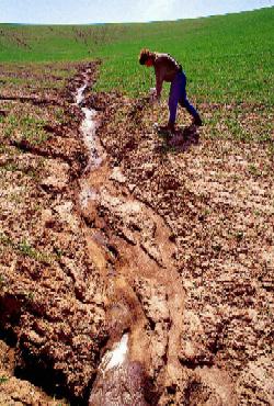 soil erosion on farmland