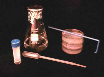 C-Fern spore inoculation supplies