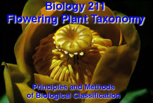 Biology 211 Image