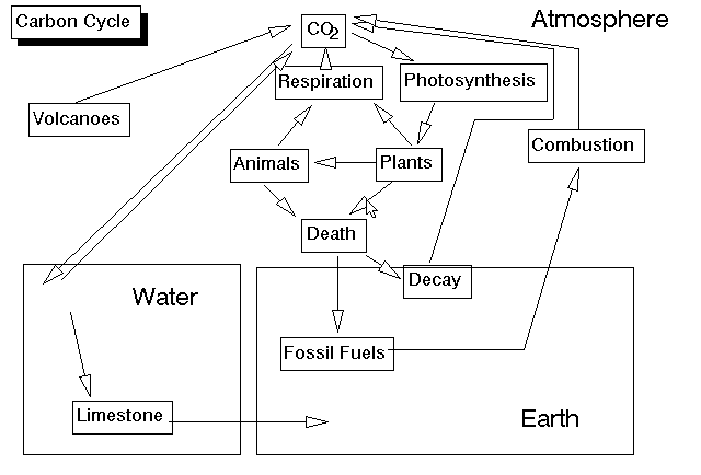 Carbon Cycle - Diagram