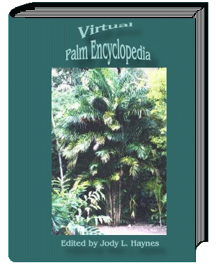 Virtual Palm Encyclopedia book