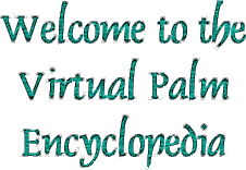 Welcome to the Virtual Palm Encyclopedia