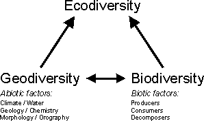 Schematic description of the terminological concept of bio-, geo- and ecodiversity