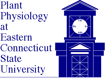 Altered ECSU Logo