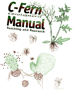 C-Fern Manual
