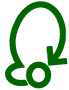 C-Fern Logo