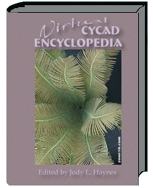 cycad_encyclopedia.gif (85466 bytes)